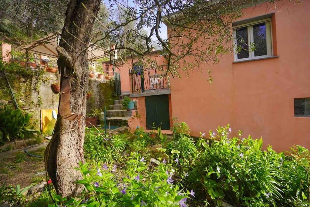 La Gaiada Villa Monterosso al Mare Exterior photo