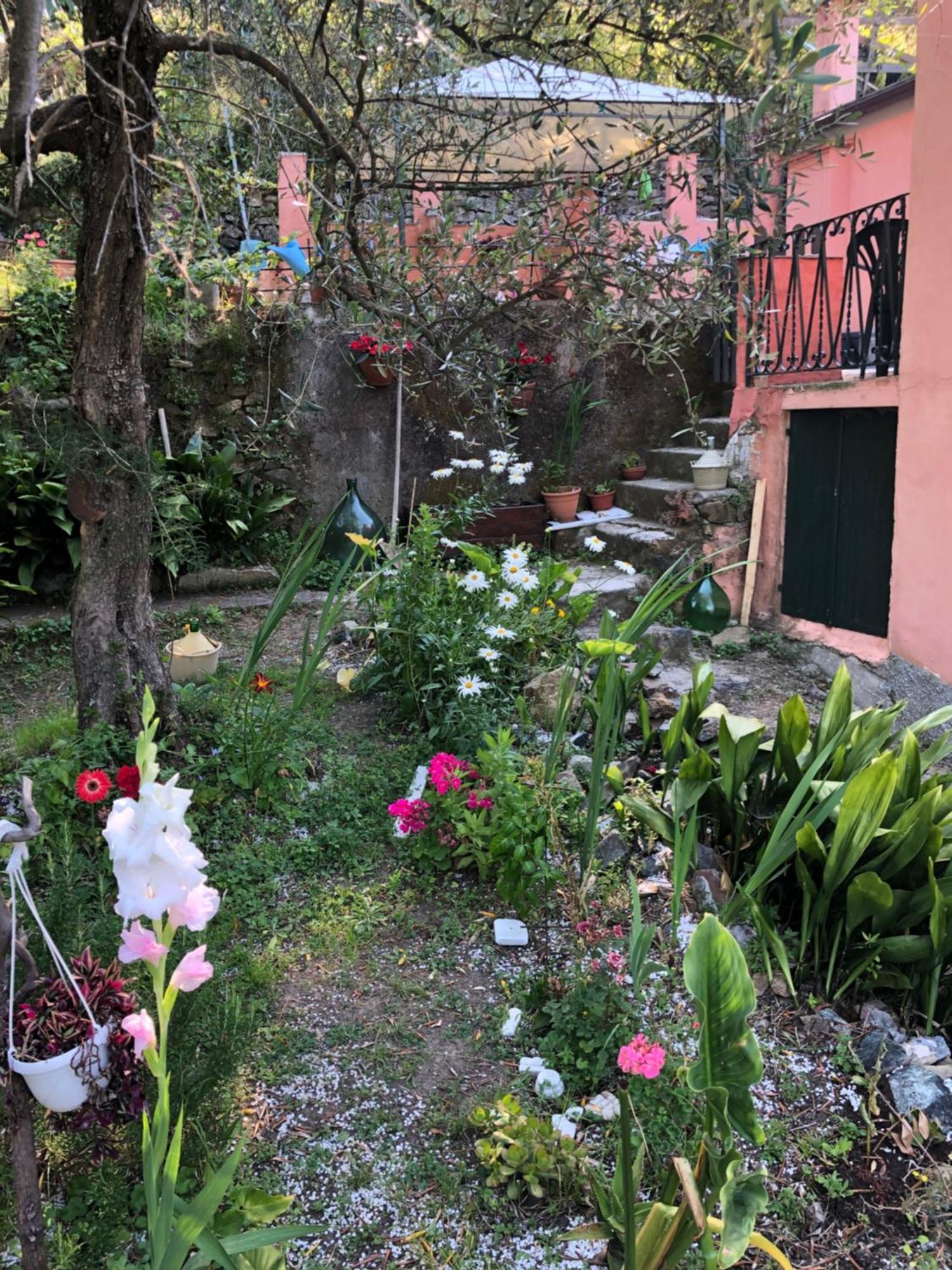 La Gaiada Villa Monterosso al Mare Exterior photo